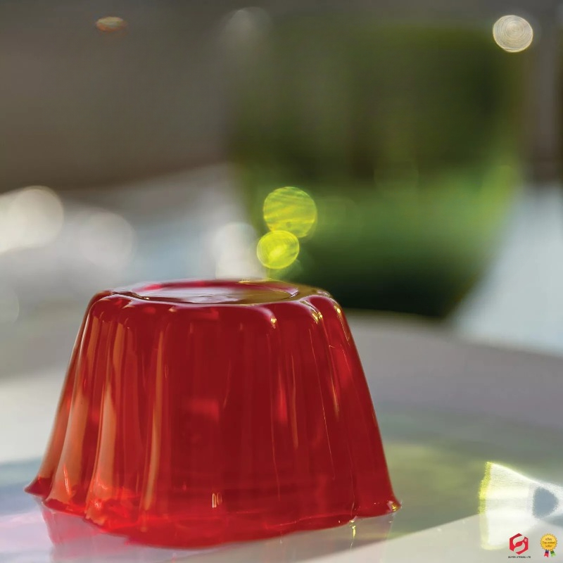 Pudding Cake Mold with Lid DIY - Baby Food Jelly ulasan dan harga